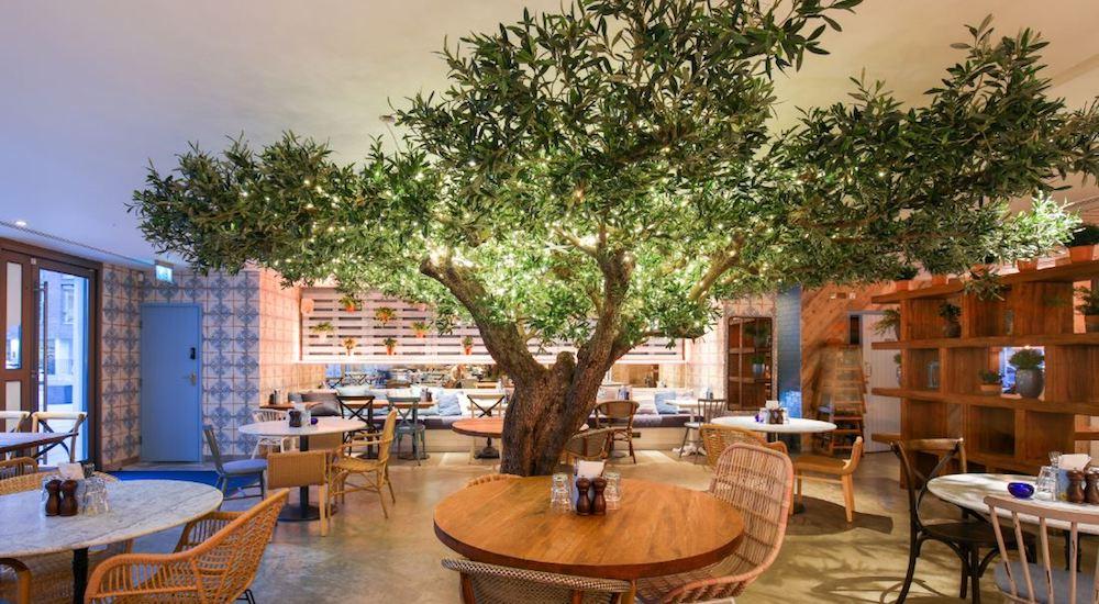 A light-covered tree at the Clapham branch of Megan's in London