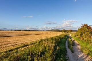 5. The Ridgeway Overton Hill to Sparsholt Firs  Two days 25 miles OS Explorer 157  170  The Ridgeway so the story goes...