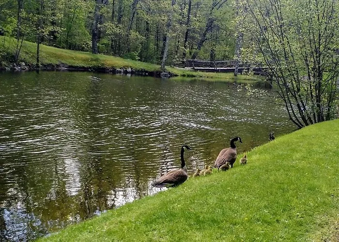 Best Hotels in Warwick NY