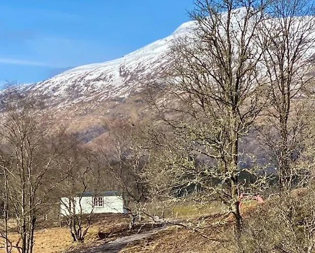 Top Hotels Near Picturesque Dalmally Village