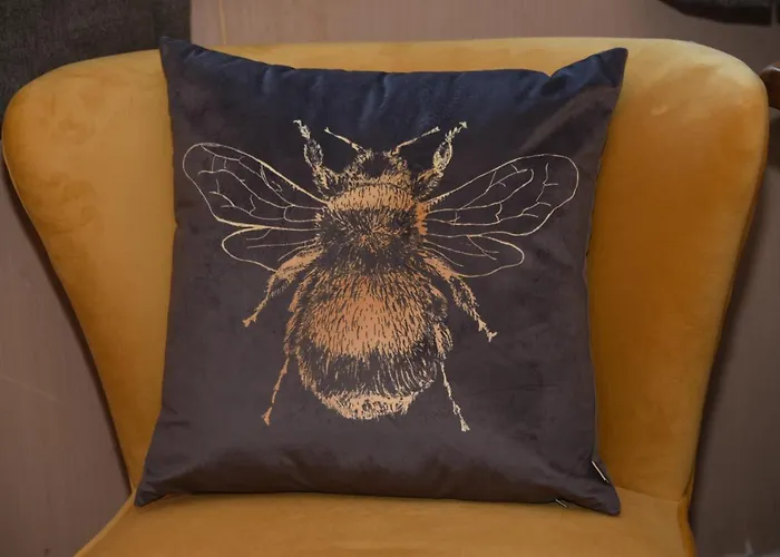 Premier Hotels & Cozy Guest Houses in Llandrindod Wells