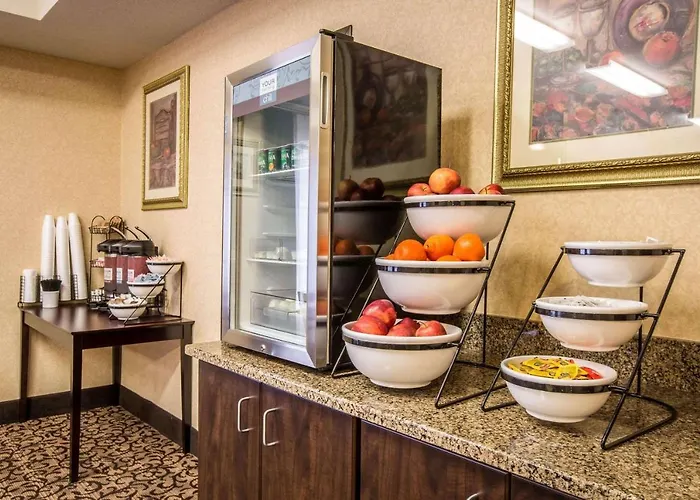 Best Hotels in Franklin NC