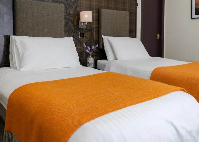 Best Hotels in Kirriemuir for Cozy Scottish Stays