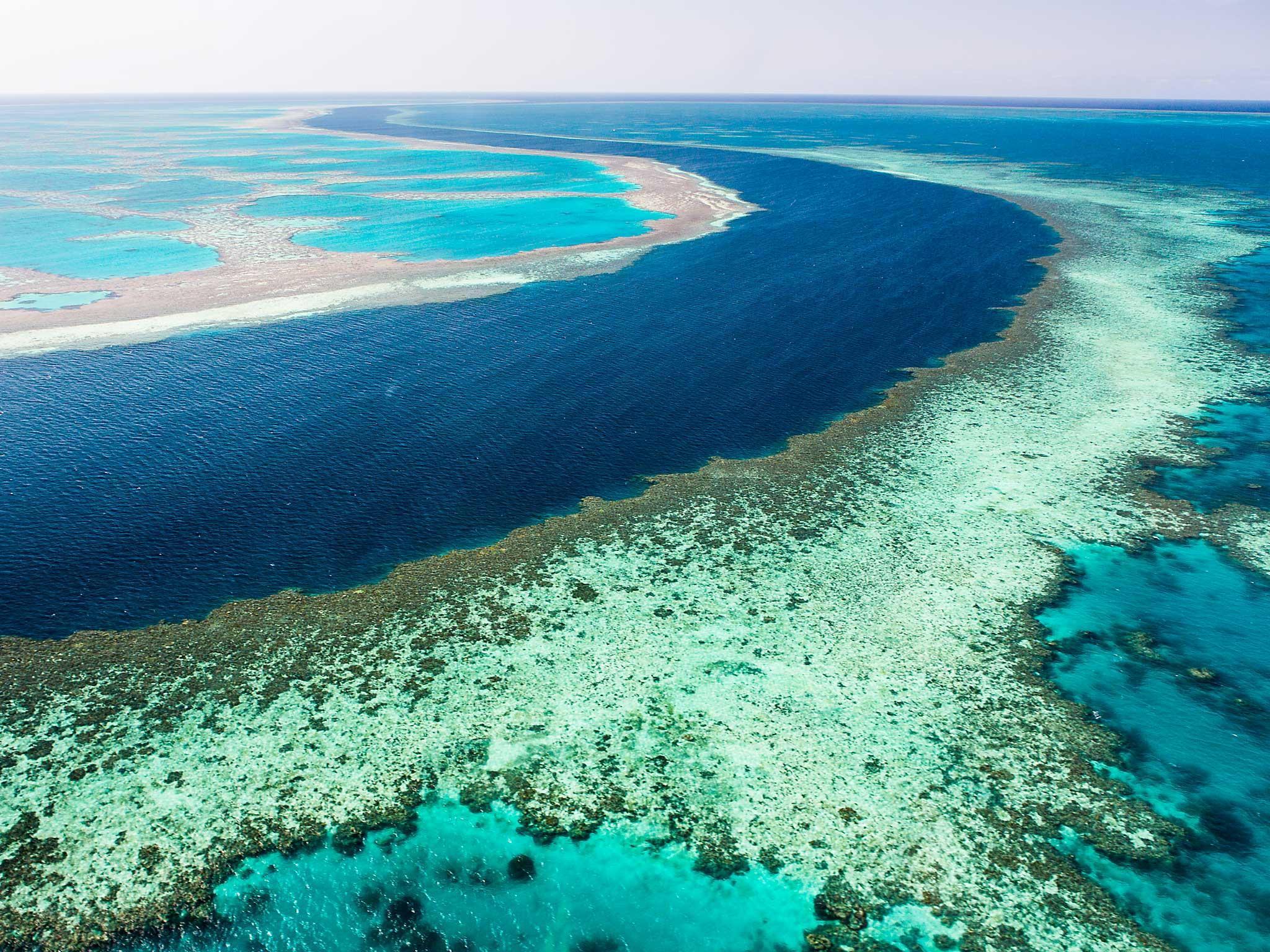 Great Barrier Reef: Giant blue sinkhole discovered by marine biologists